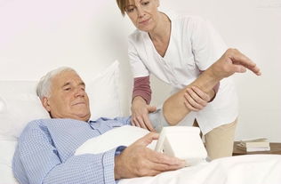 保洁用品与设备市场概览 品牌、价格与环保趋势