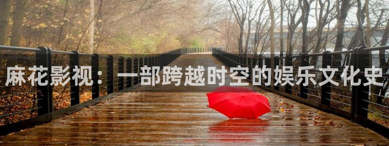 国内伦理影院：麻花影视：一部跨越时空的娱乐文化史