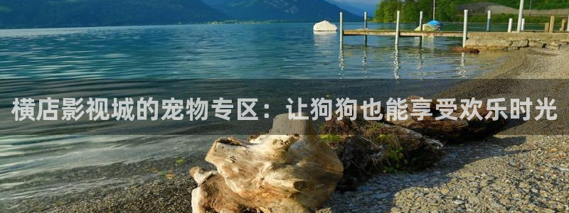 四虎伦理影视：横店影视城的宠物专区：让狗狗也能享受欢乐时光