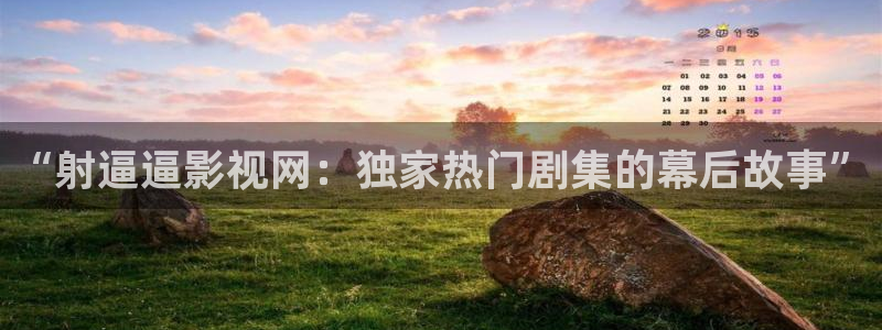 达达兔伦理影视：“射逼逼影视网：独家热门剧集的幕后故事”