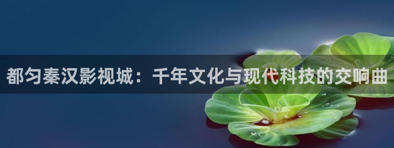 伦理影视在线看：都匀秦汉影视城：千年文化与现代科技的交响曲