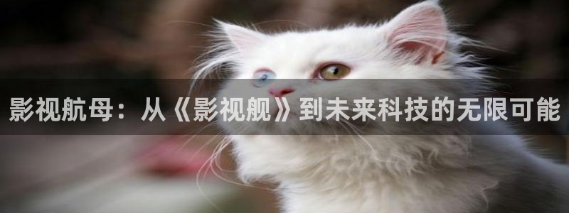 搜播伦理影院：影视航母：从《影视舰》到未来科技的无限可能