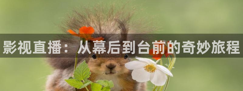 韩国电影伦理视频：影视直播：从幕后到台前的奇妙旅程