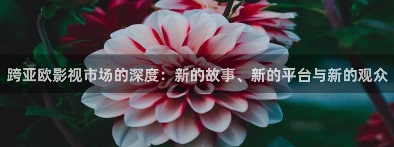 国产伦理视频网址：跨亚欧影视市场的深度：新的故事、新的平台与新的观众