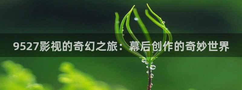 97 伦理影院：9527影视的奇幻之旅：幕后创作的奇妙世界